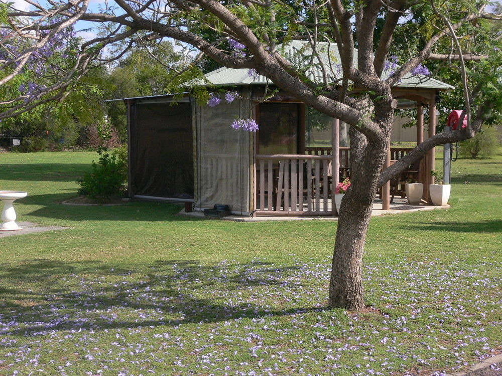 Chinchilla Motel Exterior photo